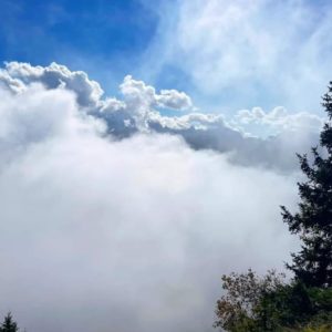 ASF 2024 Goldener Herbst in den Julischen Alpen_ Gröschel Reisen (70)