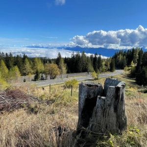 ASF 2024 Goldener Herbst in den Julischen Alpen_ Gröschel Reisen B (10)