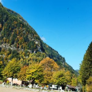 ASF 2025_Gröschel Reisen Flachau (135)