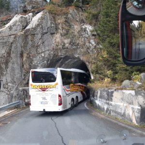 ASF 2025_Gröschel Reisen Flachau (197)