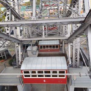 ASF 2026 Gröschel (116)