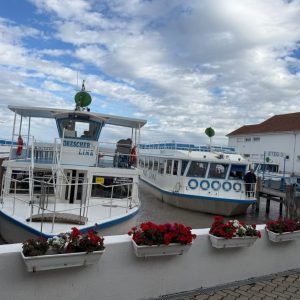 ASF 2026 Gröschel (189)