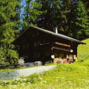 Bernina-Glacierexpress-Heiko-Willfurth30