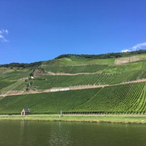 Kurztrip-Mosel-Heiko-Willfurth-2017-(14)