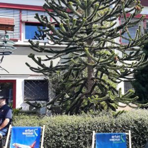 Reisebüro_Gröschel Neueröffnung 2025 (25)