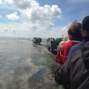 Wattenmeer_Rita_2016-(13)