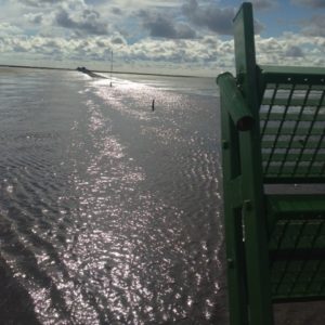 Wattenmeer_Rita_2016-(18)